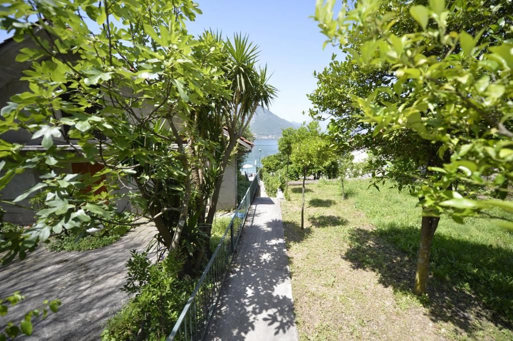 Апартаменты Apartments Kriva Ulica Котор