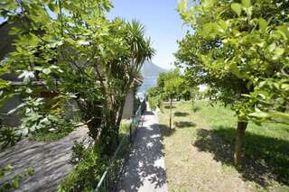 Апартаменты Apartments Kriva Ulica Котор Номер-студио с террасой и видом на сад-26